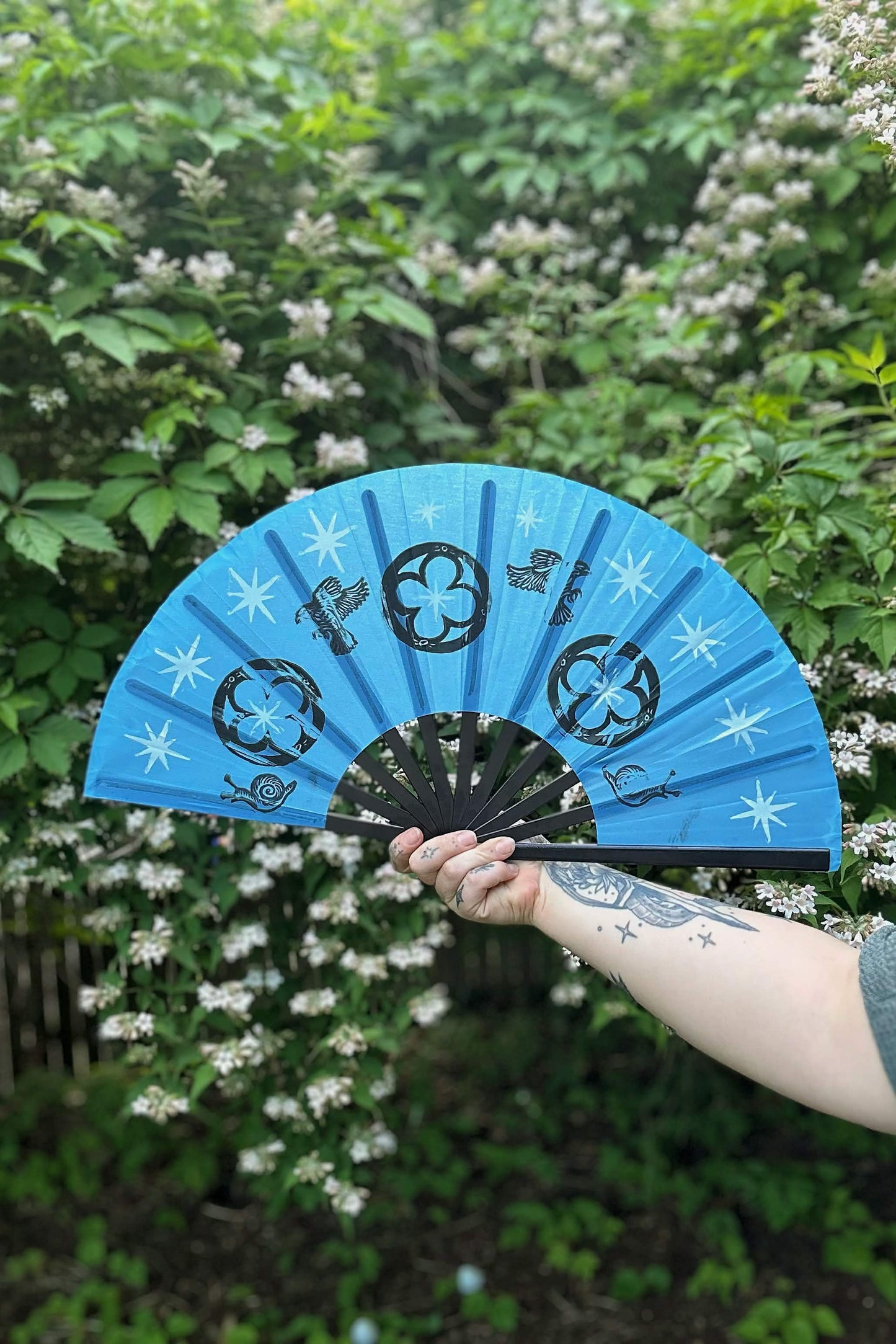 Sky Watchers - Fabled Fan