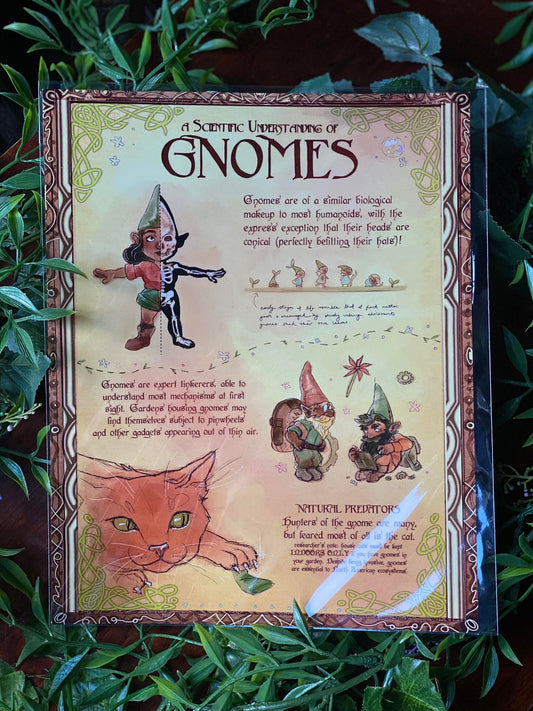 A Scientific Understanding of Gnomes Print